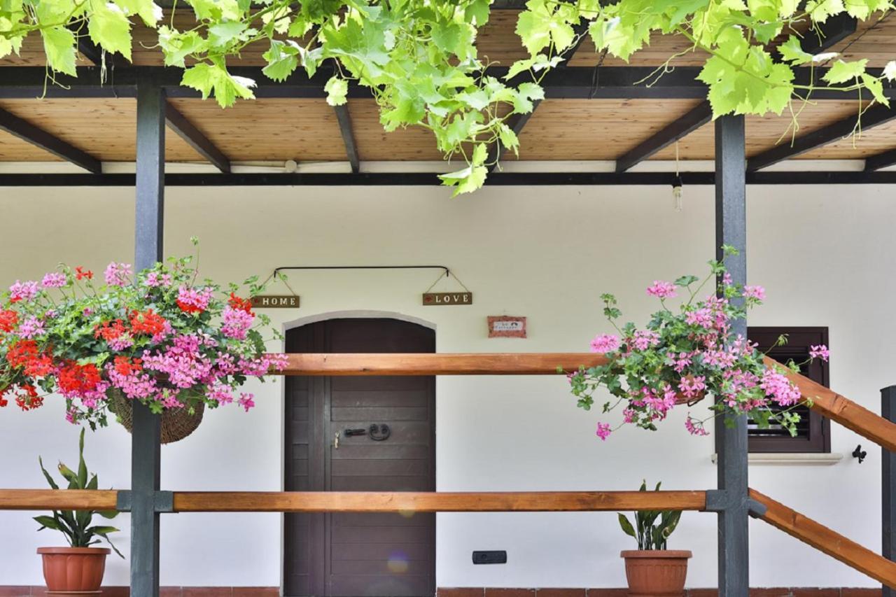 술모나 Il Ciavattone Bed And Bike B&B 외부 사진