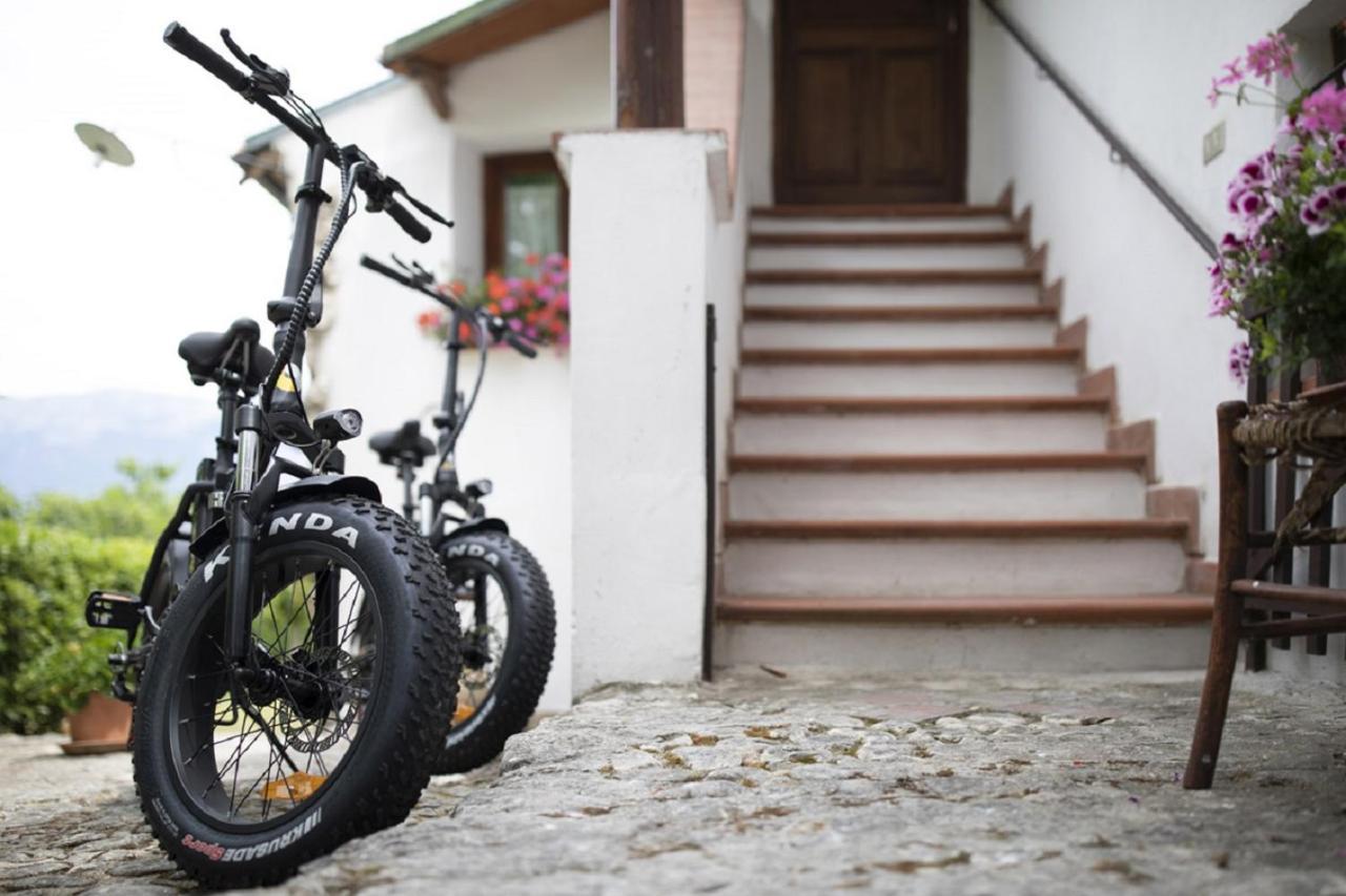술모나 Il Ciavattone Bed And Bike B&B 외부 사진